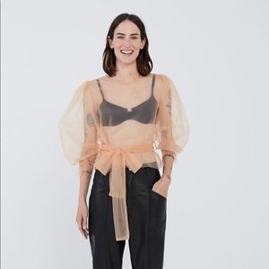 ZARA Semi sheer Tulle Top